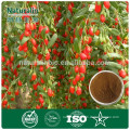 Chinese Wolfberry Extract/ Chinese Black Wolfberry Extract